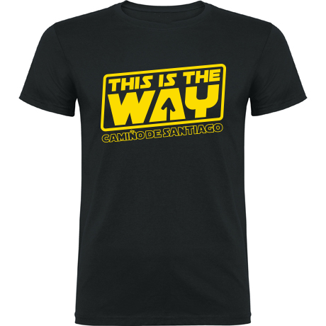 Camiseta xacobeo